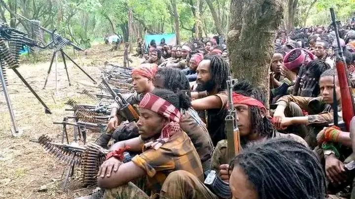 Al-Qaeda-Linked Terrorists Settle in Northern Nigeria’s Kainji Lake National Park: Report