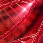 a09ea7273ce14e93be4743a0da297615