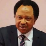 If Muslims In Nigeria Choose To Live By Sharia & Blasphemy Laws, It's None Of US Business-Shehu Sani 1761993322309