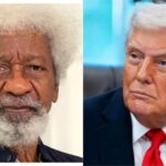 Soyinka: I Predicted That When Trump Became President, Green Cards Would Be Scrapped 1762431566053