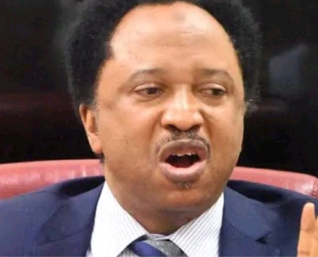 Stop Wasting Your Time -Shehu Sani On Why Igbos In North Won’t Return Home