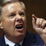 d17667ecee844f33a3dcc11c7947c9c7