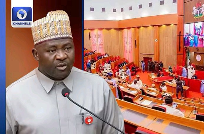 The Terrorists Think Nigeria Is So Rich That When They Come To Nigeria, They Can Make It -Gen Musa