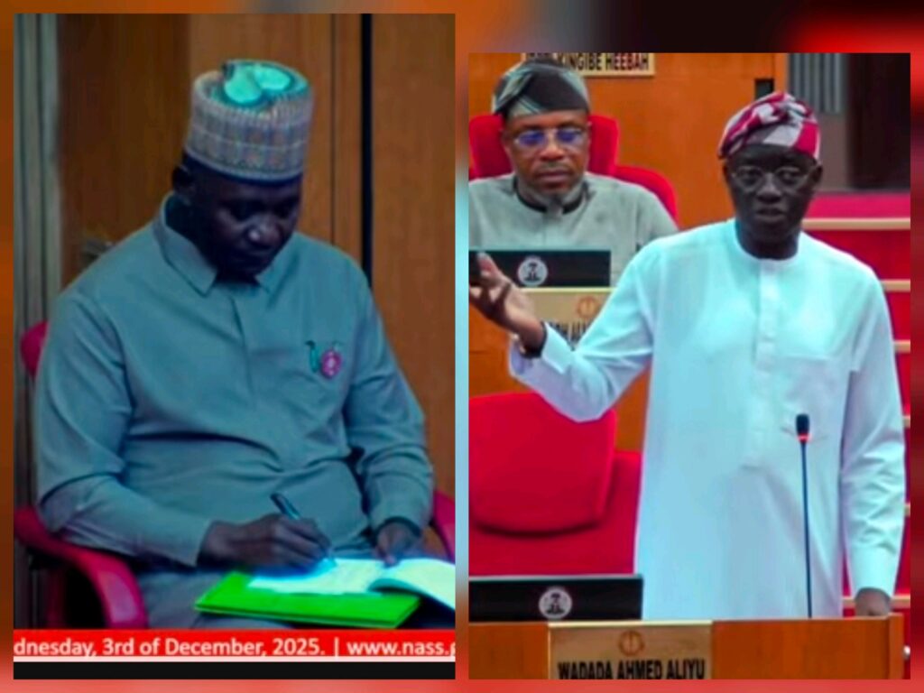 Senate Places Gen. Musa On Probation Approval, Give Him Task To Return Feedback In 6 Months Or Be Sacked