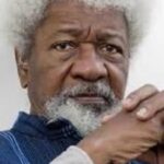 Tinubu Should Call That Young Man And Say, ‘Seyi, Go And Put Down Those Stupid People There–Soyinka 7cf1bc77ff5c4e849fffdb65386780c6
