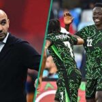 115774d46c2c4633802c18eae3a1f1b0