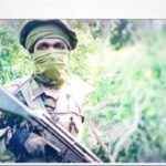 044ae0b579f742d4b821185b346d0a14