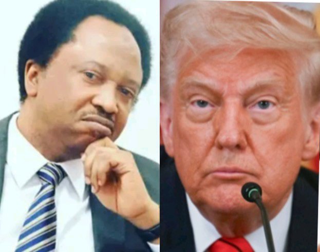 Sani Reacts As Trump Says Remi Tinubu Serves In Largest Nigerian Church And She’s A Respected Person