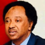 Don’t Drag Nigeria Into Trump Controversy – Shehu Sani Warns 1773761701343