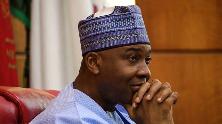 PDP: Saraki Is There Because He Is Playing Dumb Alongside Wike So They Can Have A Stake In 2031-Amadi