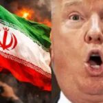 f0399a01d92240b19644468f9c315017