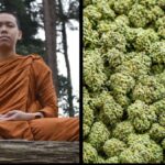 22 Buddhist monks have been detained after smuggling 243 lbs (110 kg) of cannabis through an airport in Sri Lanka Screenshot_20260428-094646