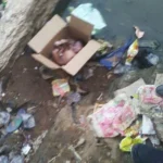 SHOCKING: A Newborn Baby Found Inside a Carton on a Wastebin Earlier This Morning in Port Harcourt (Full Details) 20260407080352_422206614_1154269472680185374_384_445_85_webp