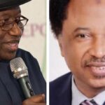 Reactions As Shehu Sani Says Jonathan Is Called Out To Contest Each Time Election Is On The Horizon f98fdfa4f93c40a2acadc2ceb98248ae