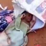Unbelievable: Terrifying Moment Passerby Rescues Newborn Baby Found Dumped In Cement Bag In Ogun State (Video) Screenshot_20260711-115252