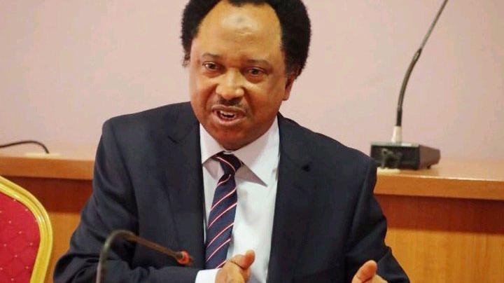 Why Was There No ‘Must Go’ Protest Under Buhari?’ — Shehu Sani Questions Anti-Tinubu Campaign